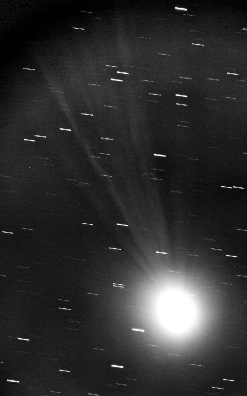 Cometa C/2014 Q2 Lovejoy